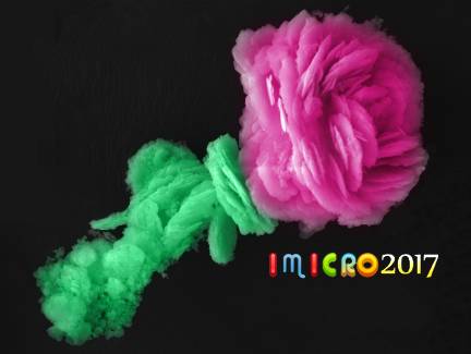 显微镜奇妙世界,显微镜下的奇妙世界视频