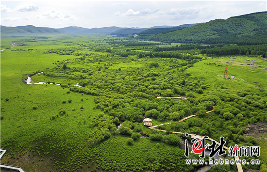在燕赵大地续写绿色传奇