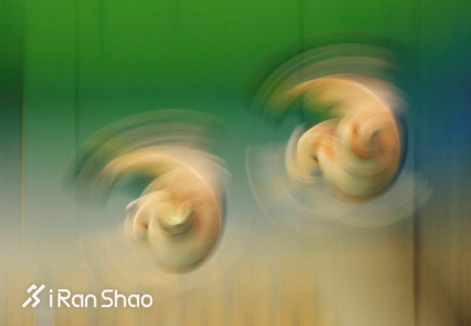 时代周刊2017十佳影片,时代周刊年度最佳