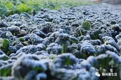 那些你不知道的原声,那些你不知道的精彩片段