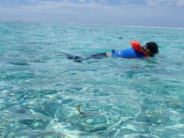 马尔代夫哈库拉岛好不好,马尔代夫哈库拉岛6日自助游
