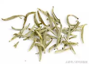 白茶的黄片怎么来的呢？看看大神如何解释！