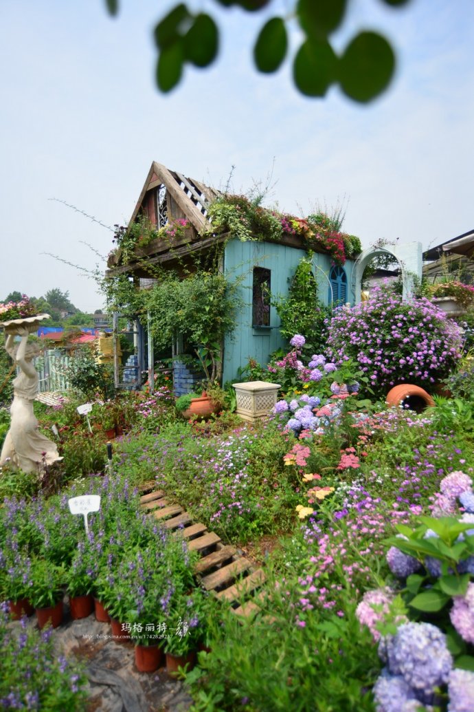 花园拜访,成都玛莉亚色彩花园电话