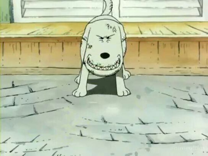 海贼王四圣兽的顺序,海贼王吉祥物排名