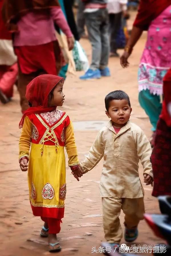 尼泊尔国歌唯一百花盛开的国度,尼泊尔百花图片