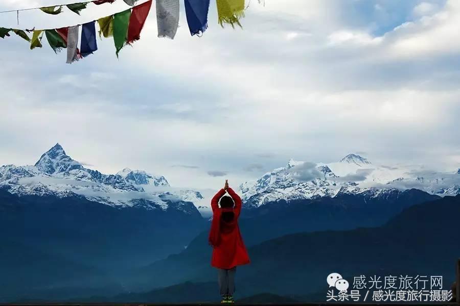 尼泊尔国歌唯一百花盛开的国度,尼泊尔百花图片