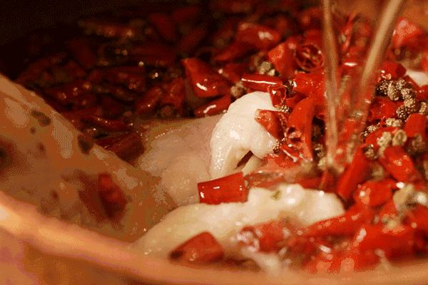 一个老外说一年之内吃遍成都,一个老外说要在一年内吃遍中国