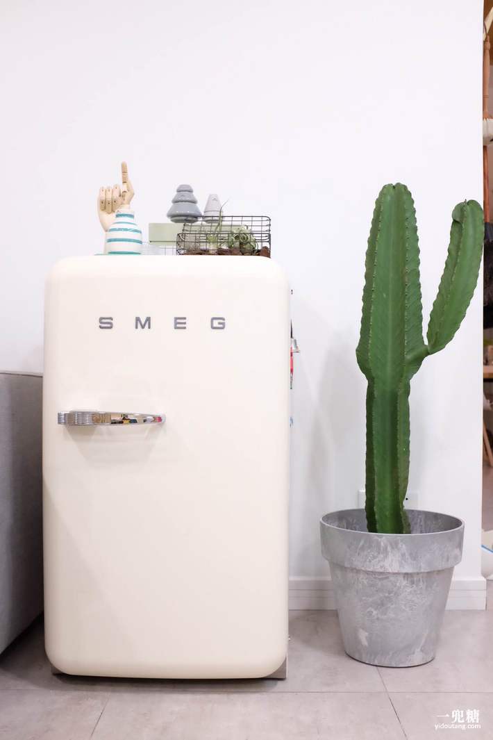 我和大熊去散步,我和大熊搭档完整视频