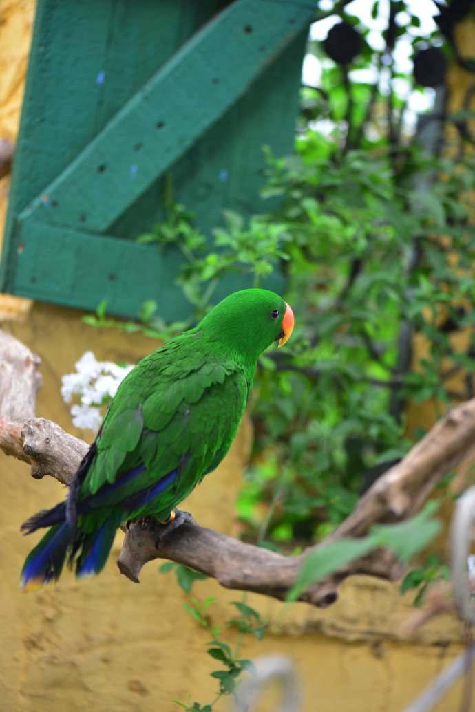 成都玛莉亚色彩花园,成都玛莉亚色彩花园电话