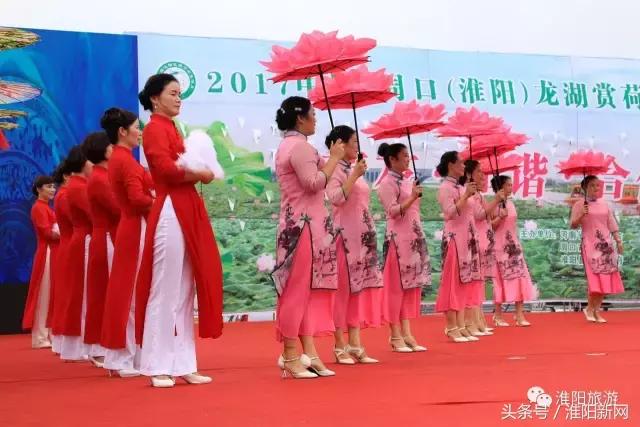 中国淮阳荷花节游龙湖赏荷花,欢迎大家来淮阳龙湖赏荷花