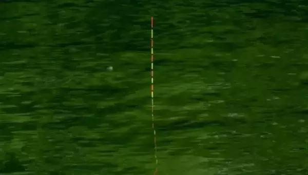 清哥钓鱼调漂教程,清哥钓鲫鱼绝密技巧讲解