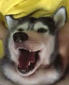 听说你不开心,听说你不开心沙雕片段