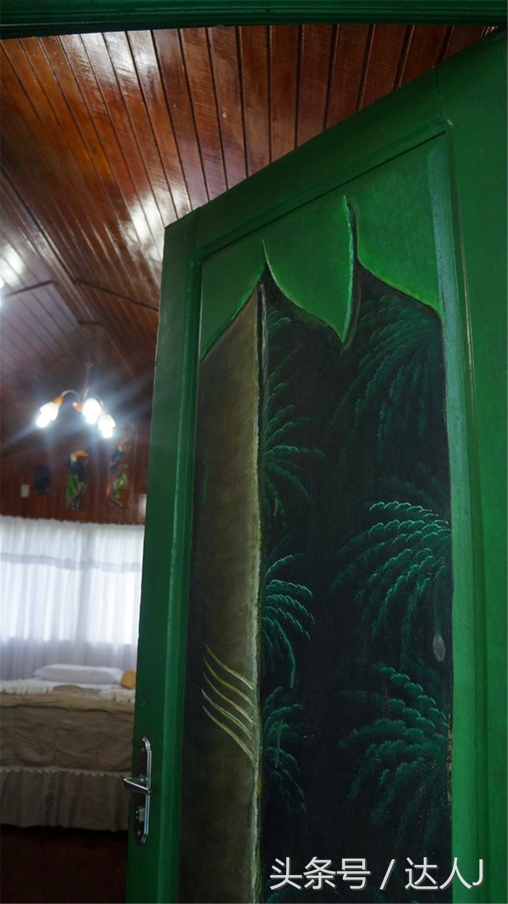 达人J：巴西的盛宴