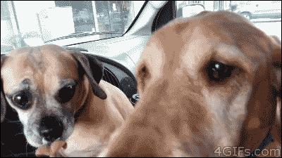 姹槦浜烘槸蹇冩満鐙楀悧,涓轰粈涔堟豹鏄熶汉閲嶆儏閲嶄箟