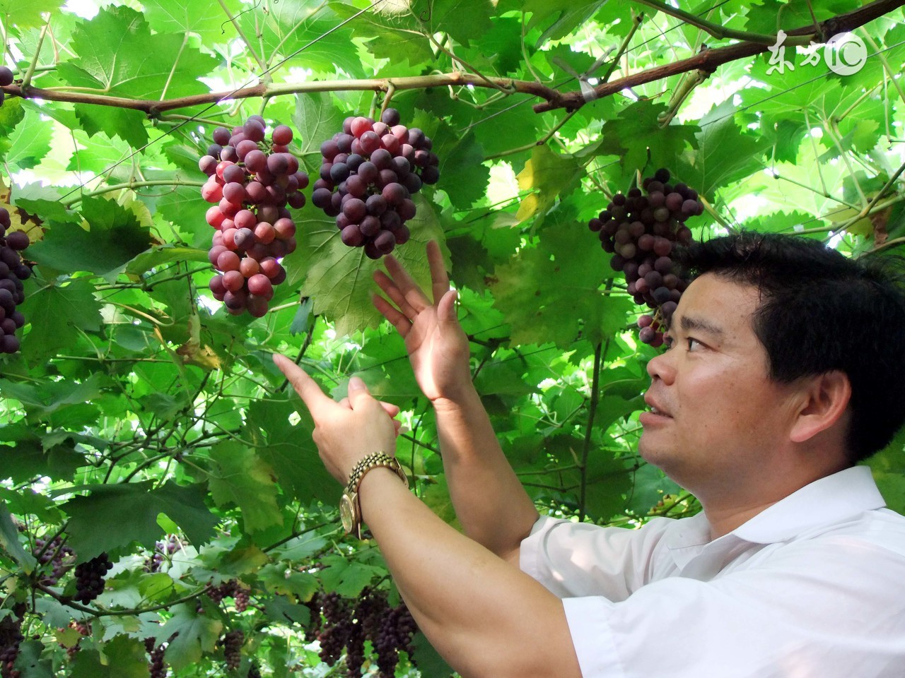 最新热门致富项目大全,致富经创业项目哪些比较真实