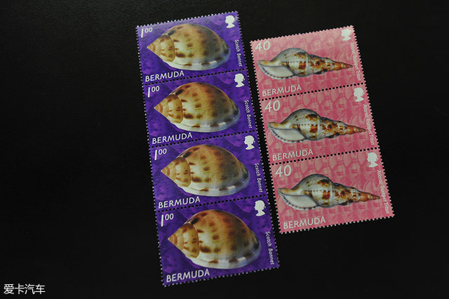 海陆皆猛虎路虎百慕大美洲帆船赛之旅