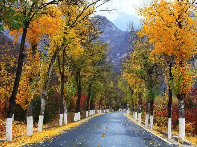 重磅！明天起，北京人要让全世界羡慕！