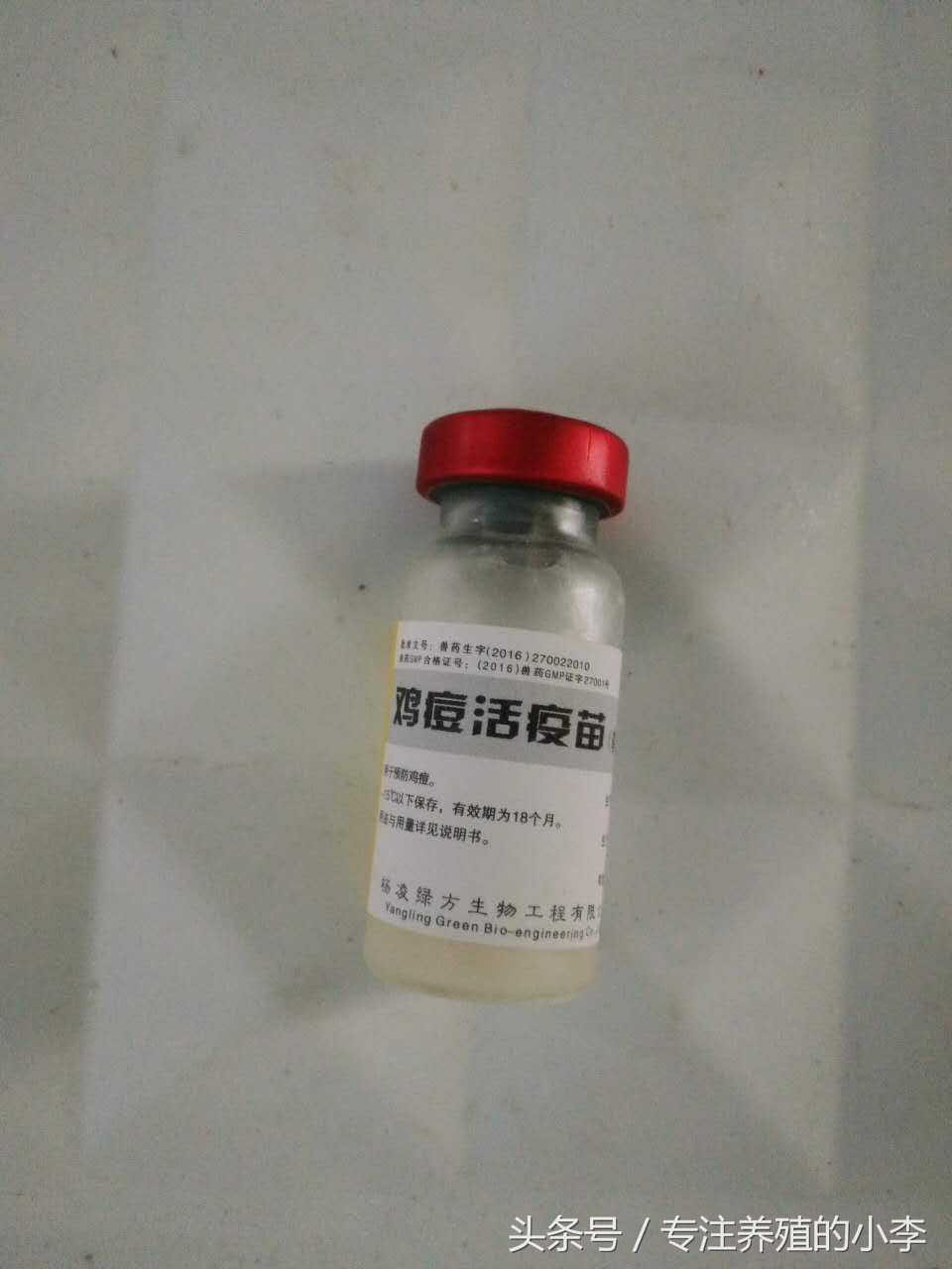 夏天养鸡如何防蚊蝇呢,养鸡场防蚊最好的方法