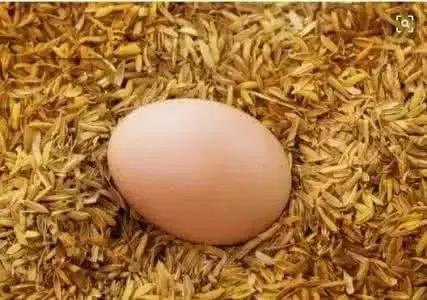 一天最多能吃几个蛋？血脂高能不能吃鸡蛋？鸡蛋最好这么吃！