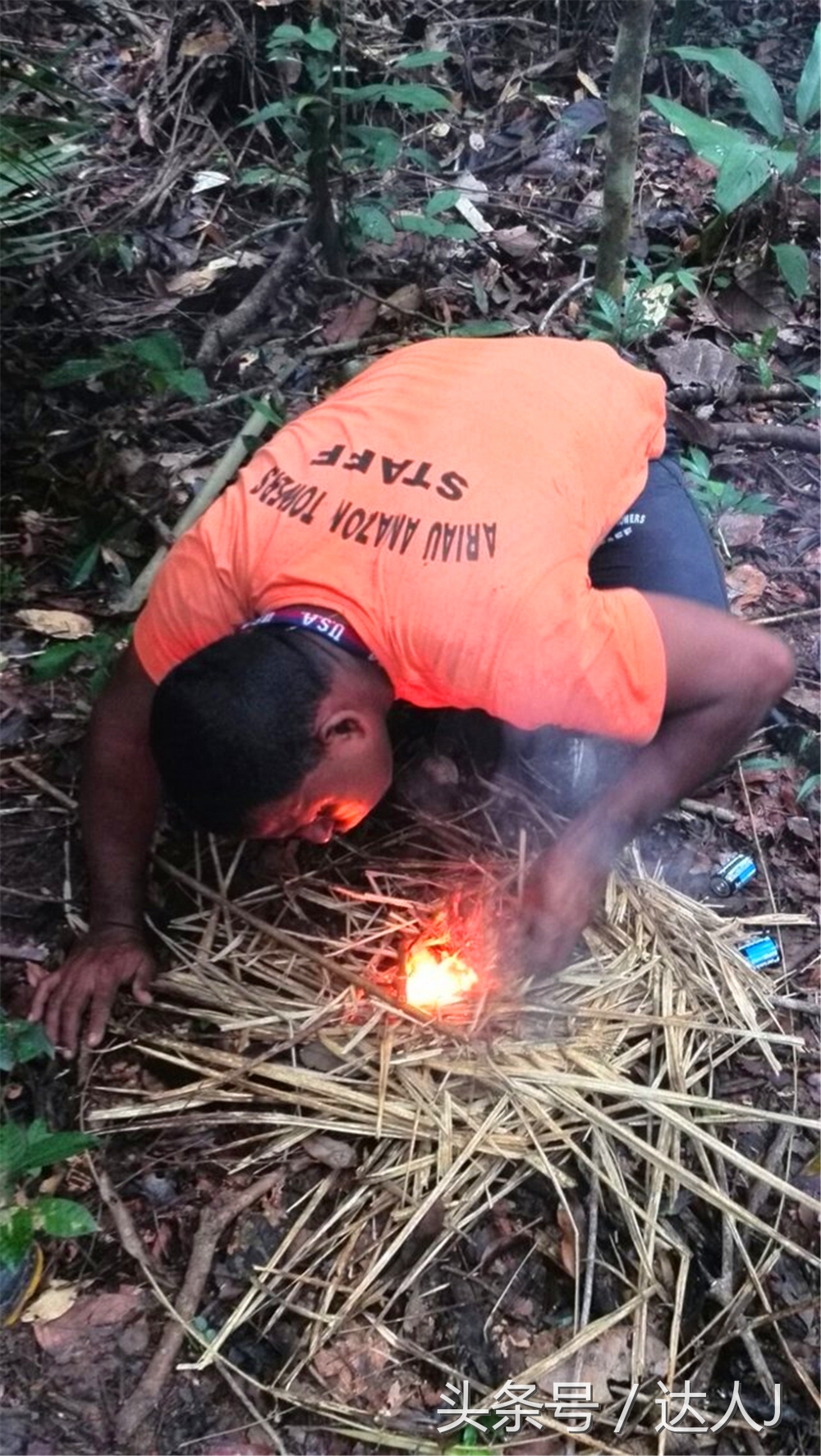 从亚马逊雨林到安纳托,最靠近亚马逊丛林的城市