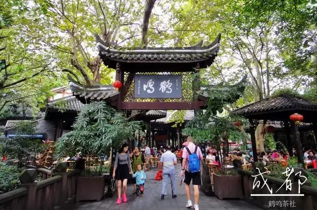 酷暑难耐？一起“约泡”吧！