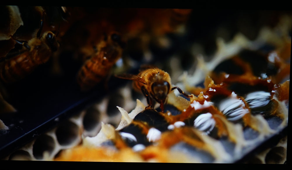 奥图码高流明4k投影机,奥图码uhd506投影机测评