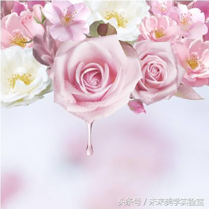 美迪惠尔可莱丝面膜,可莱丝美迪惠尔面膜推荐