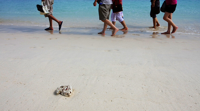 非洲人*安门天**广场中暑，海南人靠它避暑，这就是海南人不会轻易中暑的原因