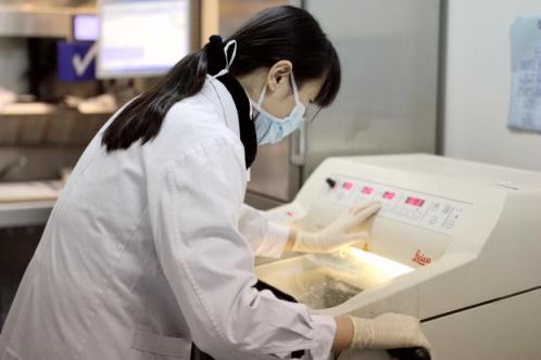 那些年身上切下的肉肉去哪了——记病理是个什么鬼