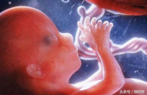 孕妈们孕酮,孕妈如何补充孕酮