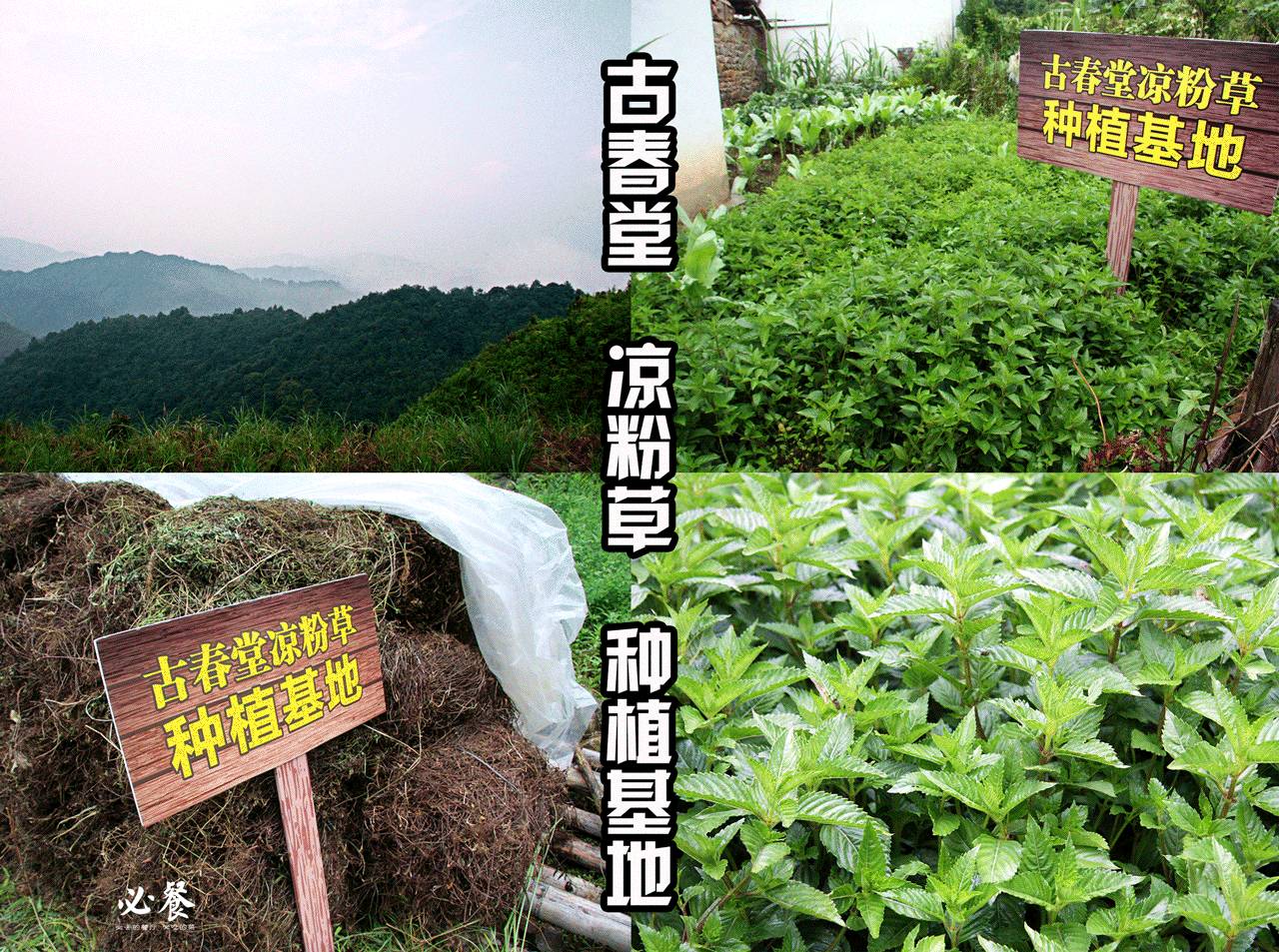 珠海香洲区美食老字号,珠海老香洲美食老字号29年