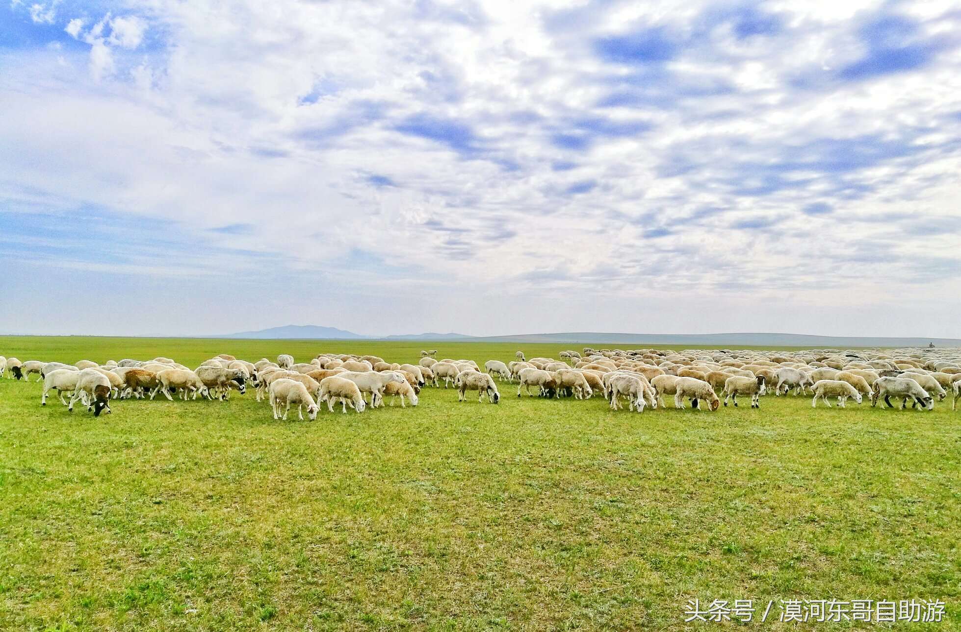 呼伦贝尔漠河旅游攻略夏季,呼伦贝尔漠河环线自由行