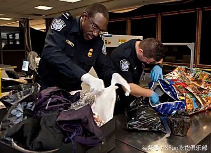 目前出国旅游会被遣返吗,如果去国外避免被遣返怎么回答