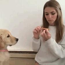 隔壁的wife超好,用起来真爽!