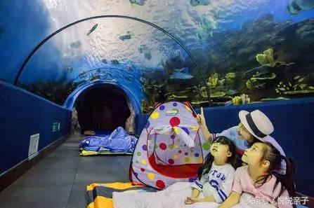 单飞露营,露营还可以做哪些活动