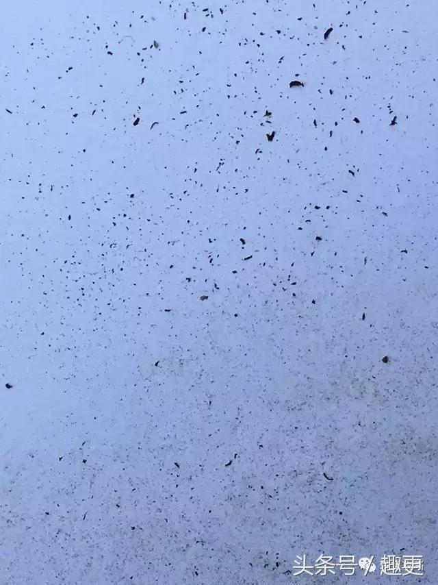 金刚后期发黑怎么办,金刚有什么办法让它变红