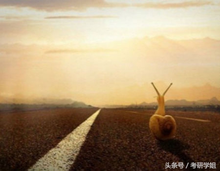 考研英语二作文万能模板购买,2021年考研英语二真题作文