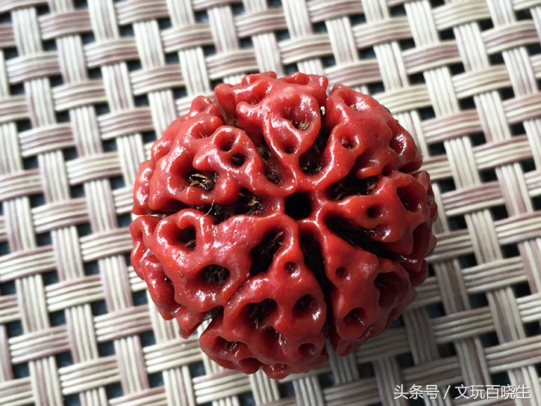 几内亚金刚和尼泊尔金刚的区别,正宗尼泊尔金刚菩提辨别