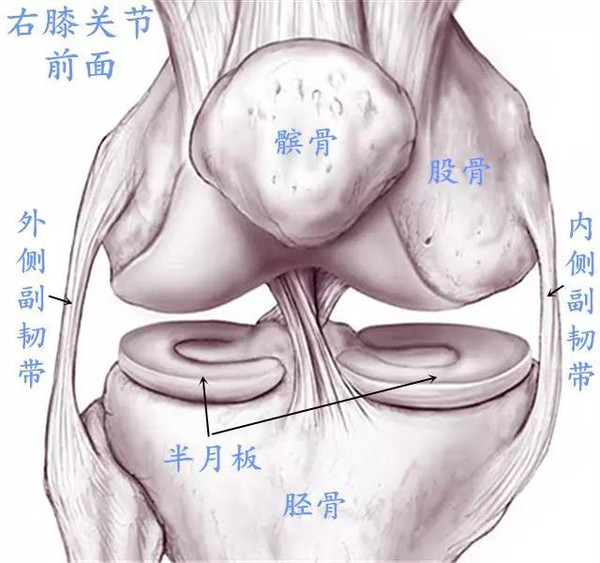 膝盖半月板损伤的锻炼方法,治疗膝盖半月板损伤的方子