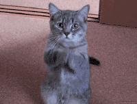 满心欢喜地等了这个快递整整1个月，却在拆开包装的瞬间傻了眼