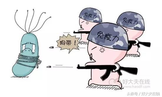 幽门螺旋杆菌入侵人体方式,幽门螺旋杆菌入侵你的胃