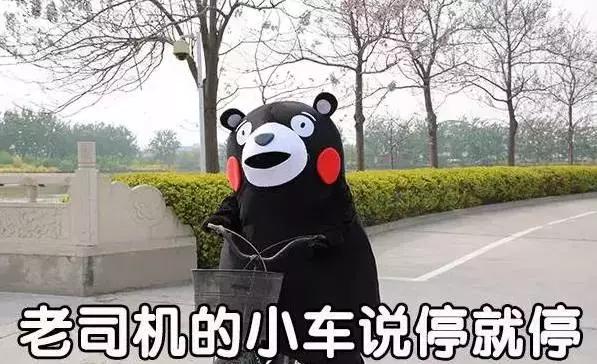 重庆水上乐园哪里最好玩又便宜,你不知道的重庆水上乐园