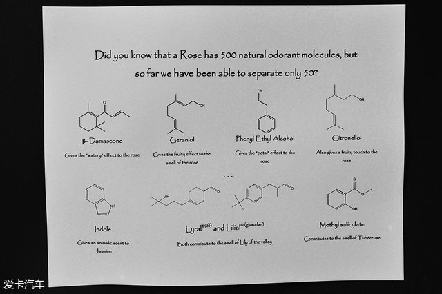 海陆皆猛虎路虎百慕大美洲帆船赛之旅
