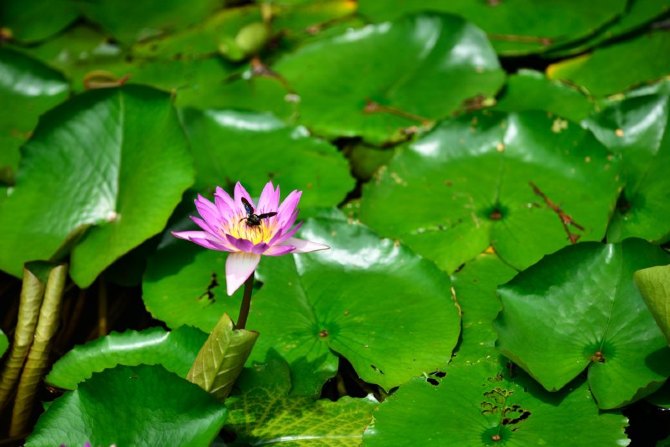 三亚能吃能玩的地方,三亚自由行玩到嗨
