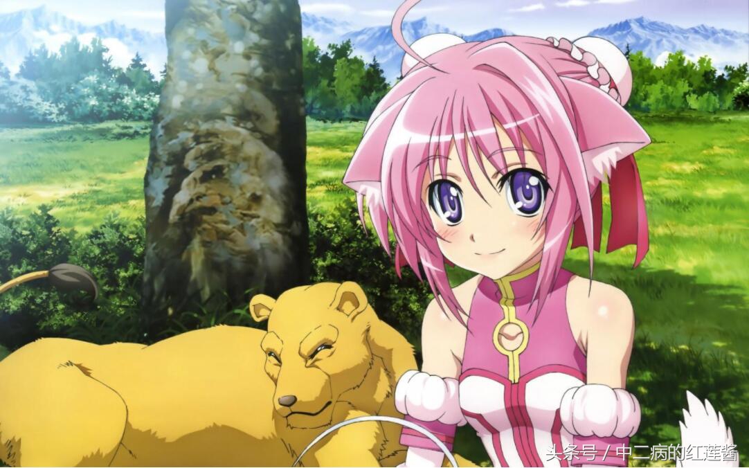 《笨女孩》被一个笨蛋带坏的小镇,唯独这条狗全面过人