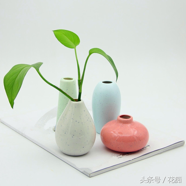 水培绿萝怎么养才能活得快,水培绿萝怎么做百分百能成功