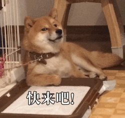 成年人还可以自学钢琴吗,成年人怎样双手弹钢琴