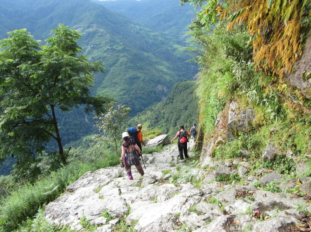 深山迷路原因,在深山迷路了怎么办
