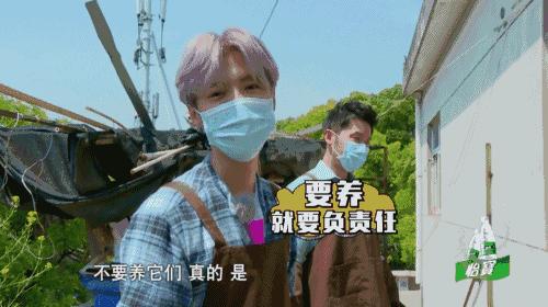 鹿晗约吧大明星,鹿晗关晓彤2017新年愿望