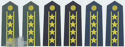 火箭军少校军衔肩章是什么样子,1955年陆军技术少校肩章图片